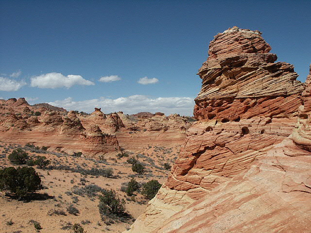 South Coyote Buttes