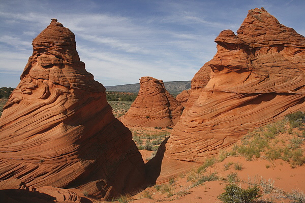 Paw Hole Teepees