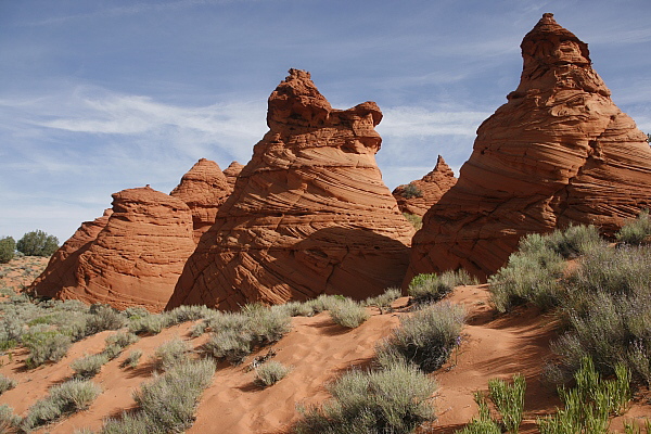 Paw Hole Teepees