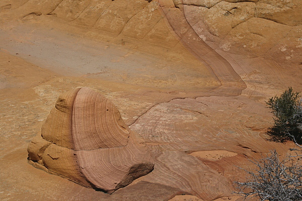 South Coyote Buttes