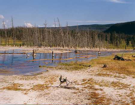 Yellowstone