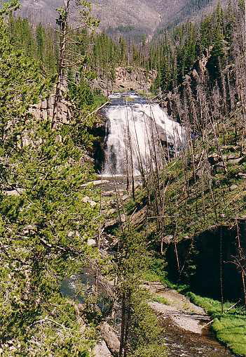 Yellowstone