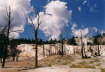 Yellowstone