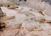 Yellowstone