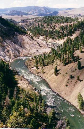 Yellowstone