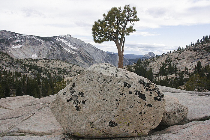 Yosemite National Park