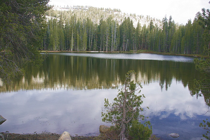 Yosemite National Park