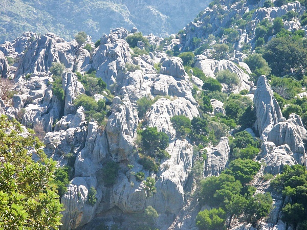 Auf dem Weg nach Pollenca Auf dem Weg nach Pollenca