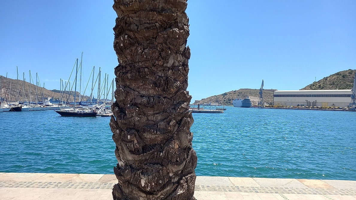 Hafen Cartagena