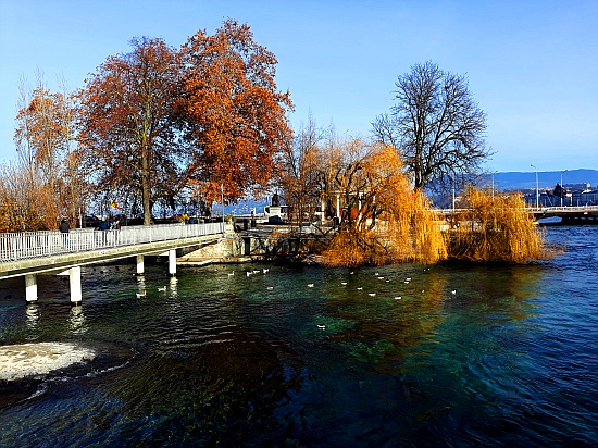 Île Rousseau Île Rousseau