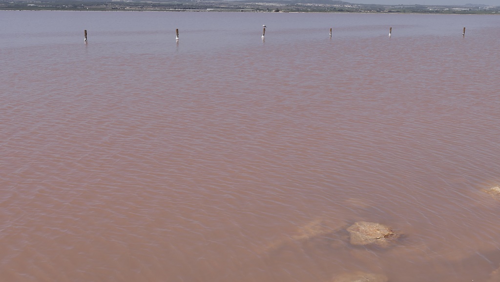Laguna Rosa