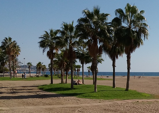 Playa de la Malagueta Playa de la Malagueta