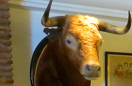 Hat den kleinen Spaniern niemand beigebracht, dass man Tiere nie zum Scherz quält? Hat den kleinen Spaniern niemand beigebracht, dass man Tiere nie zum Scherz quält?
