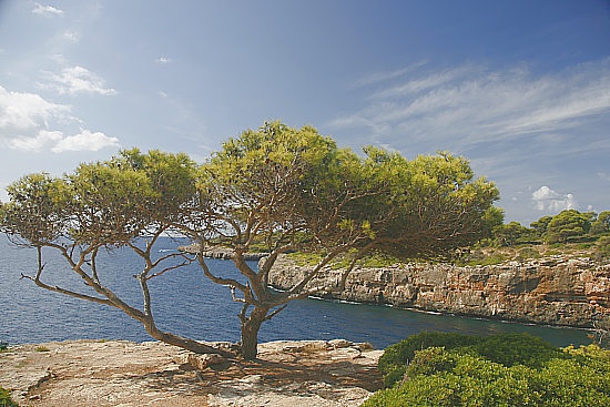 mallorca106