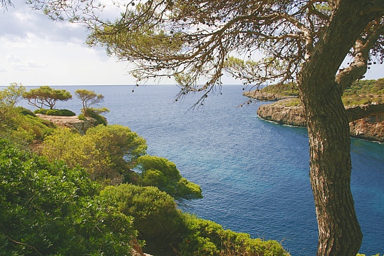 mallorca107