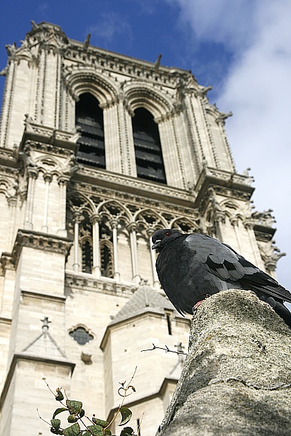 Notre Dame de Paris Notre Dame de Paris