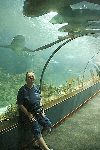 Loro Parque Aquarium Loro Parque Aquarium