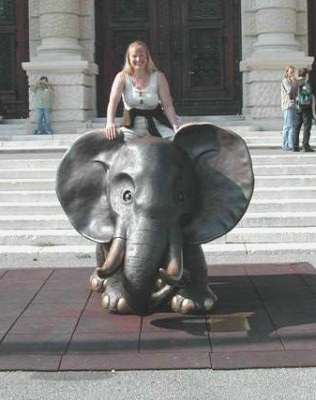 Uli und der Elephant Uli und der Elephant