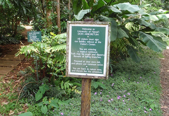 Lyon Arboretum