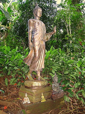 Lyon Arboretum