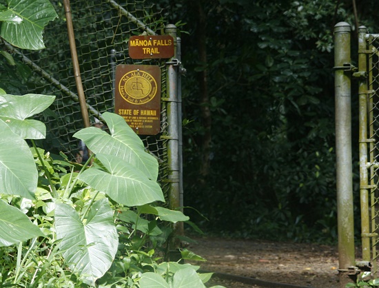 arboretum3