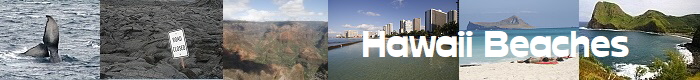 Hawaii Beaches