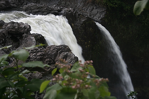 Rainbow Falls - Hilo