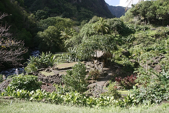 Einen kleinen Garten kann man noch besichtigen Einen kleinen Garten kann man noch besichtigen