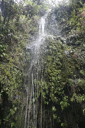 Rinnsal an den Upper Waikani Falls