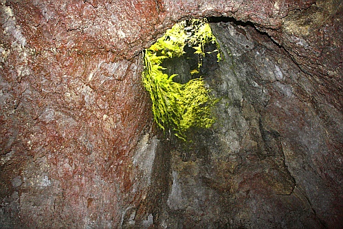 das Loch in der „Decke“ durch das man das Gras wachsen hören konnte das Loch in der „Decke“ durch das man das Gras wachsen hören konnte