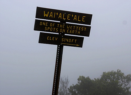 Mount Wai'ale'ale Mount Wai'ale'ale