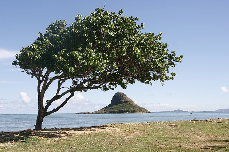 Chinaman's Hat