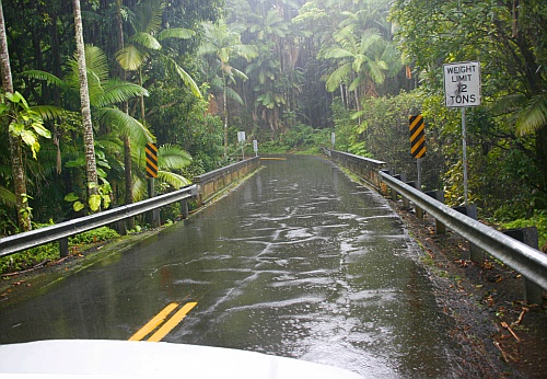 Onomea Scenic Drive Onomea Scenic Drive