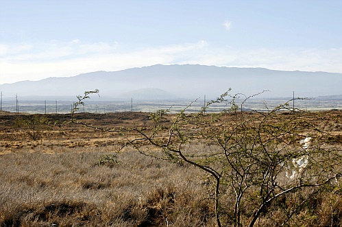 Der Fachmann wird erkennen dass im Bild der Mauna Loa zu sehen ist - aber ich hab einfach vergessen den Mauna Kea aus der Entfernung zu knipsen.....