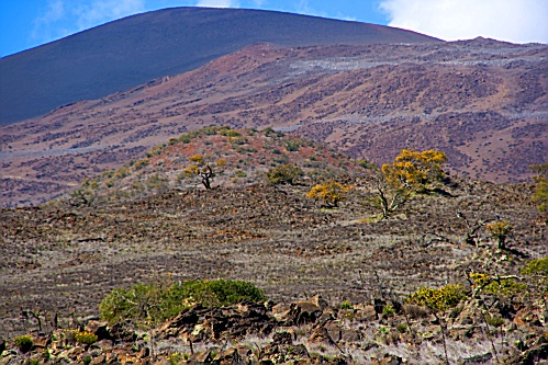 Der Mauna Kea hchstselbst