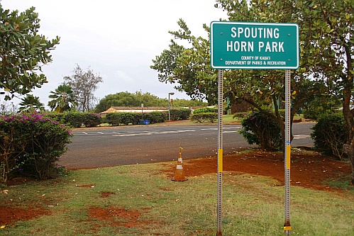 Spouting Horn Park