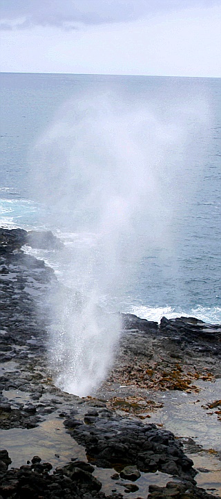 Spouting Horn 