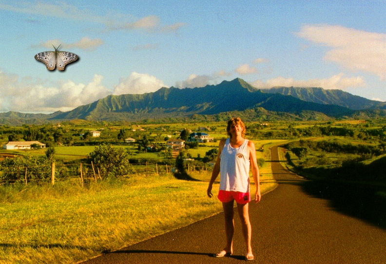 Hanalei Valley 1995