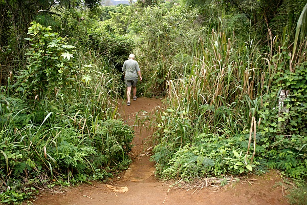 kipu1