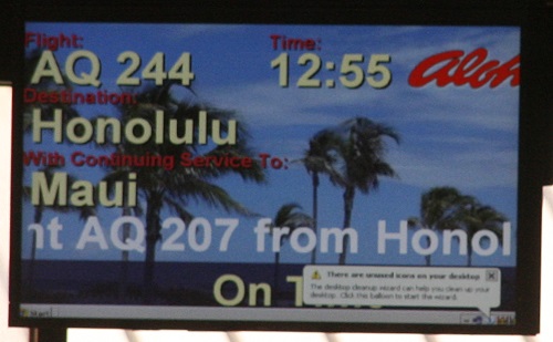 Auf geht's nach Oahu
