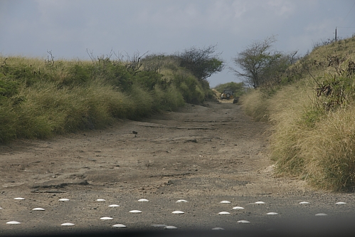 Ka'ena Point