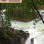 Sunwapta Falls - am Icefield Parkway<br />Besucht am 4.6.2017