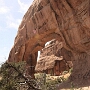 28.05.2014 - Arches Park - Pine Tree Arch