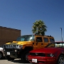Mustang Hummers - Nach dem H2 kamen 2 Mustangs aus der Garage ..