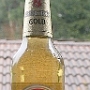 Beck's Gold<br />Herstellungsort: Bremen<br />Zutaten: Wasser, Hopf, Gerstenmalz<br />Alkoholgehalt: 4,9 %<br /><br />Wir dachten eigentlich, es wäre eins von diesen neumodischen Bieren für die heutige Jugend, die mehr oder weniger nach gar nichts schmecken. Weit gefehlt. Es schmeckt wie es riecht, abgestanden und leicht bitter. Als hätte ein ganz normales Becks ein paar Stunden offen im Kühlschrank gestanden, damit es nicht zu viel Kohlensäure hat. <br />Was definitiv nicht drin ist: Die auf dem Label versprochene Spritzigkeit. Oder sind Leute, die dieses Bier trinken, so unspritzig?