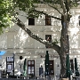 Mutter Wittig - stadtbekanntes Restaurant<br />7.8.2022