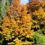 Weiter geht's mit Bildern vom 19.10.2022 im Stadtpark
