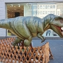 Tyrannosaurus Rex - Jungtier