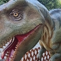 Tyrannosaurus Rex - Jungtier