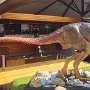 Velociraptor